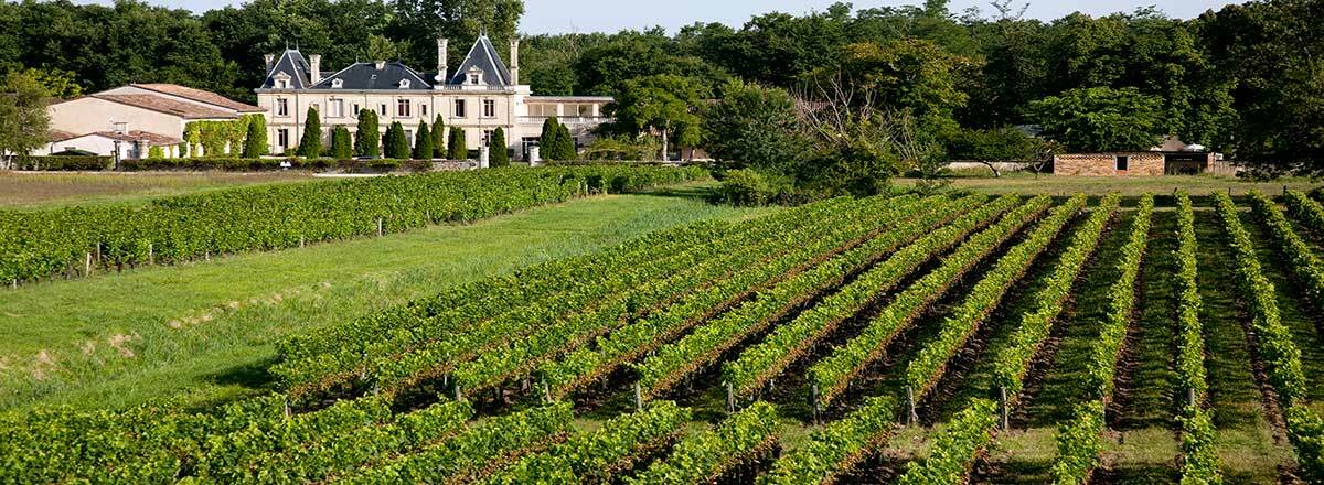 Chateau Meyre Avensan Zewnętrze zdjęcie